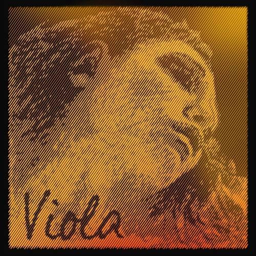 Upgrade for carbon viola: Evah Pirazzi Gold strings