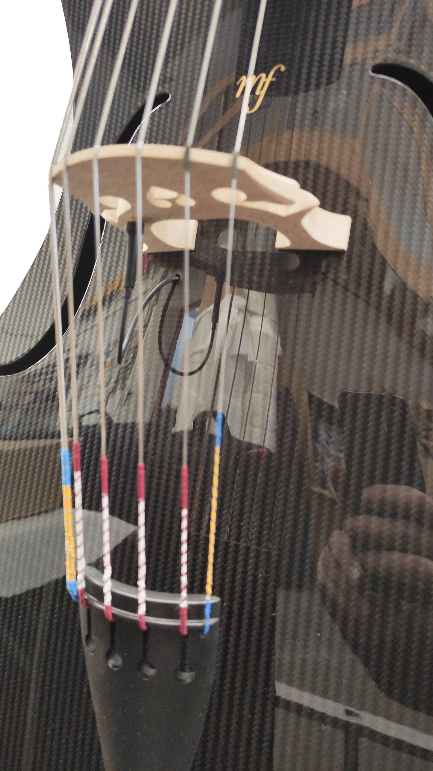 Carbon cello mezzo-forte 6-string, hybrid, Anima Nova