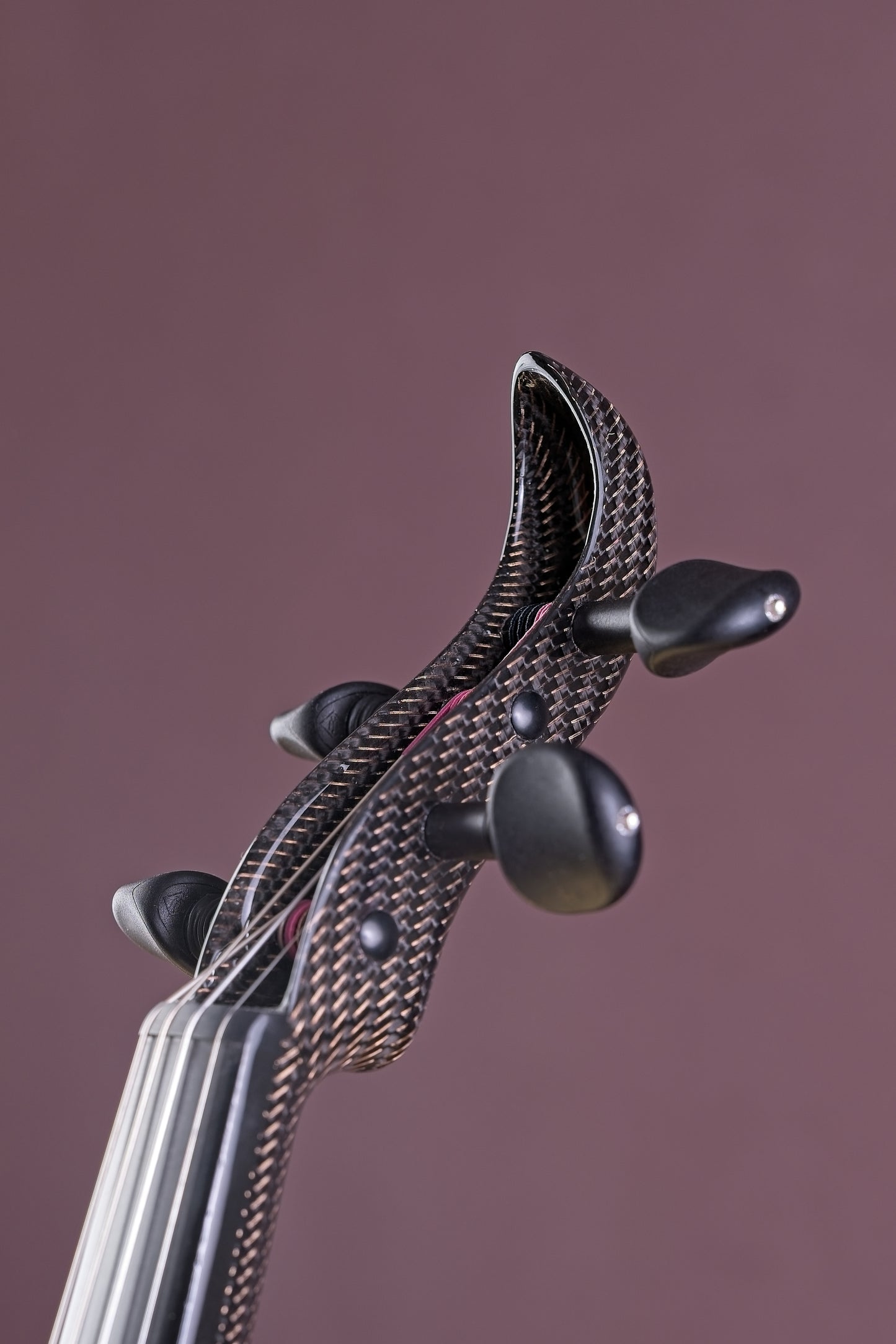 Violin La Aurora