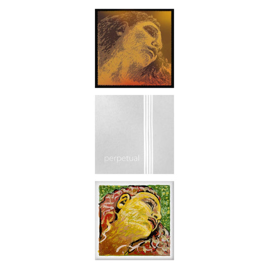 Saiten-Upgrade DesignLine