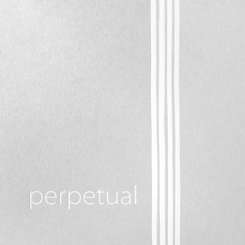 Set of Pirastro Perpetual SOLOIST strings for cello